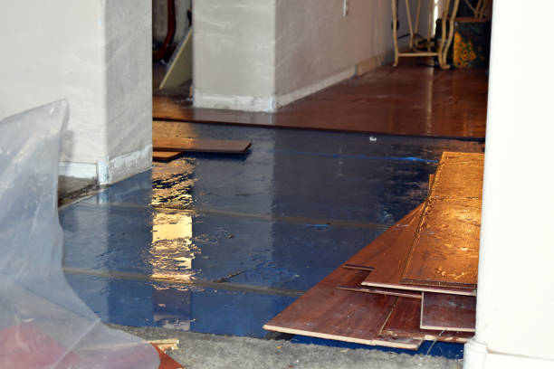 Professional Water Damage Restoration technician working in Belleville, KS